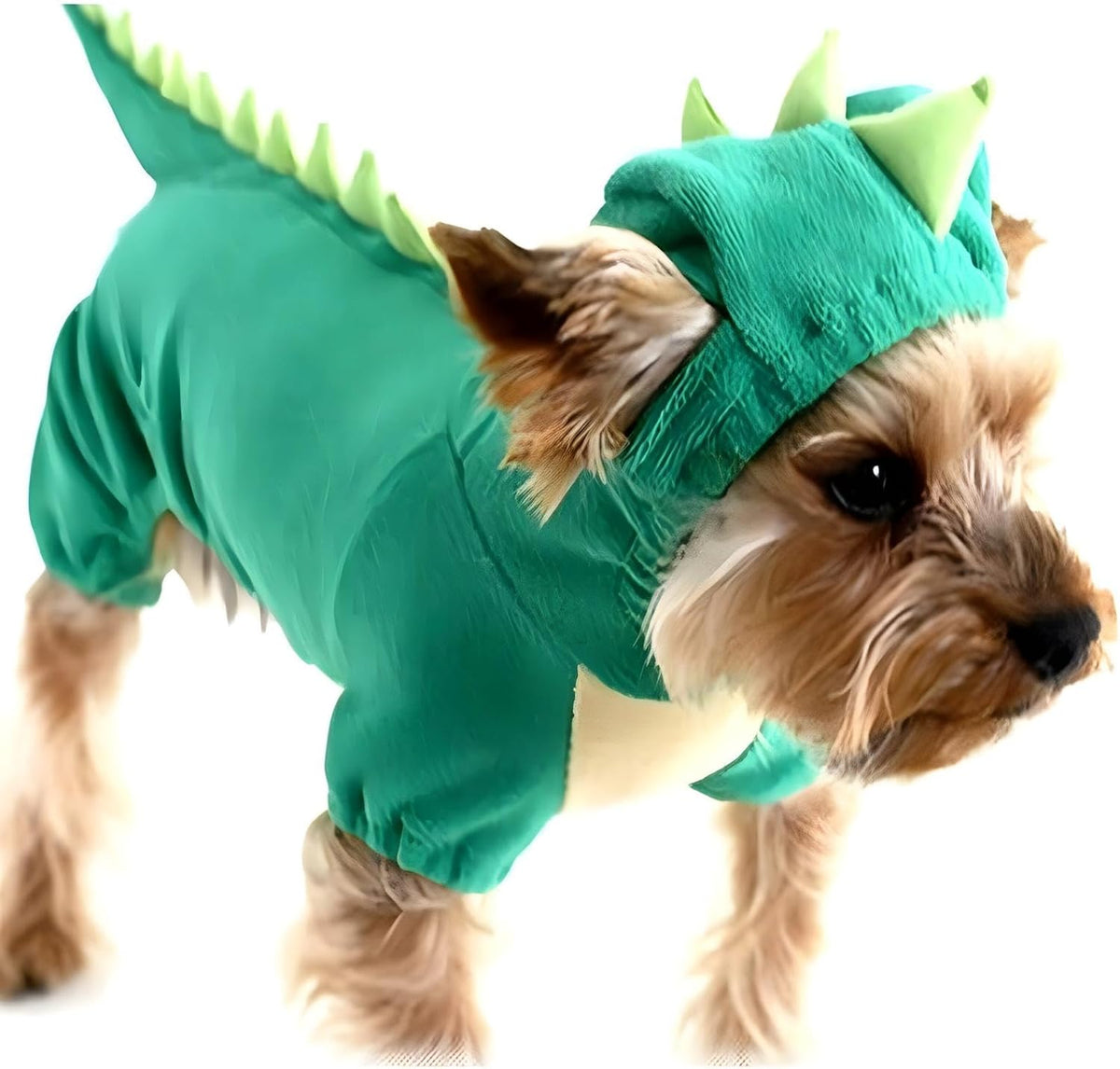 Dog Dinosaur Design Costume Green Pet Clothes for Medium & Large Dog (Green, S)