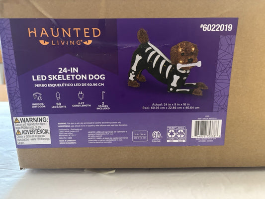 Haunted Living 24-Inch Illuminated Skeleton Golden Doodle Halloween Decoration