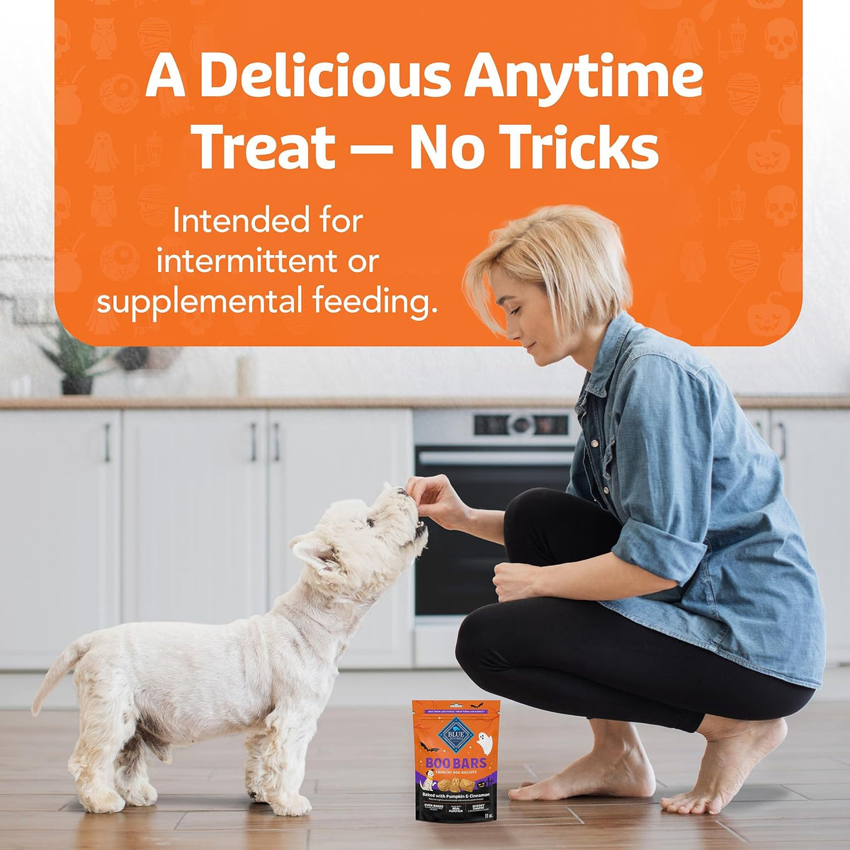 Boo Bars Pumpkin & Cinnamon Dog Biscuits, 11 oz