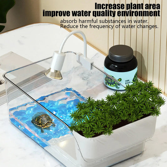 Turtle Tank with Basking Area, Transparent Reptile Terrarium Habitat for Turtles