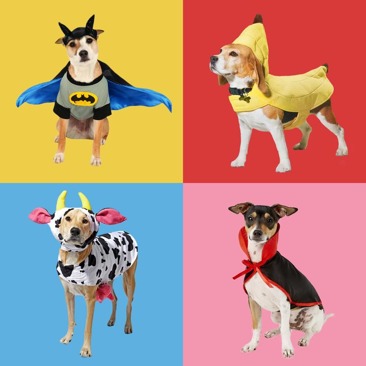 Costume