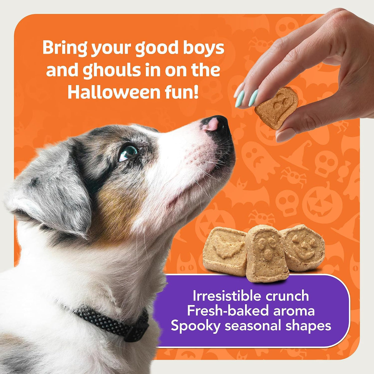 Boo Bars Pumpkin & Cinnamon Dog Biscuits, 11 oz
