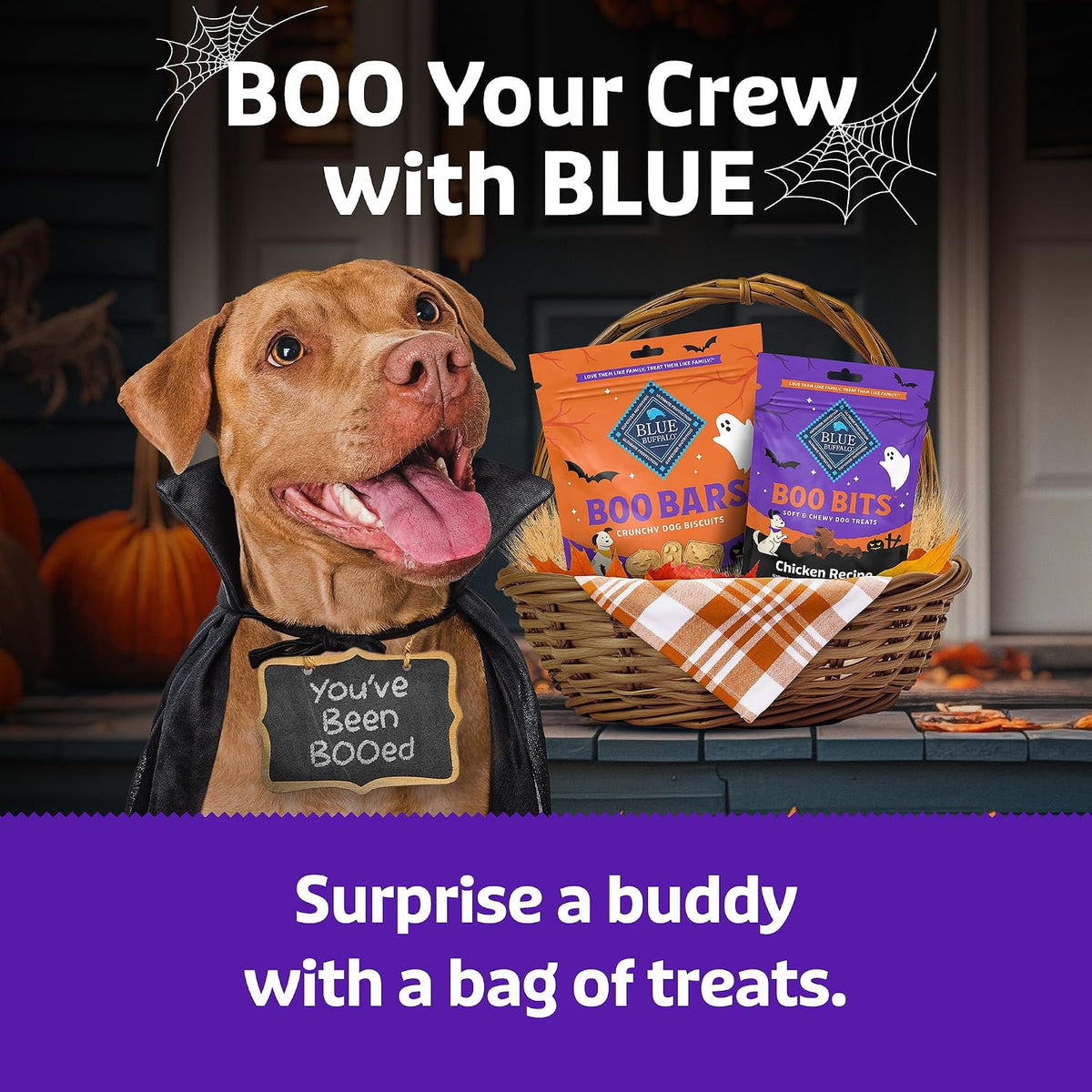 Boo Bars Pumpkin & Cinnamon Dog Biscuits, 11 oz
