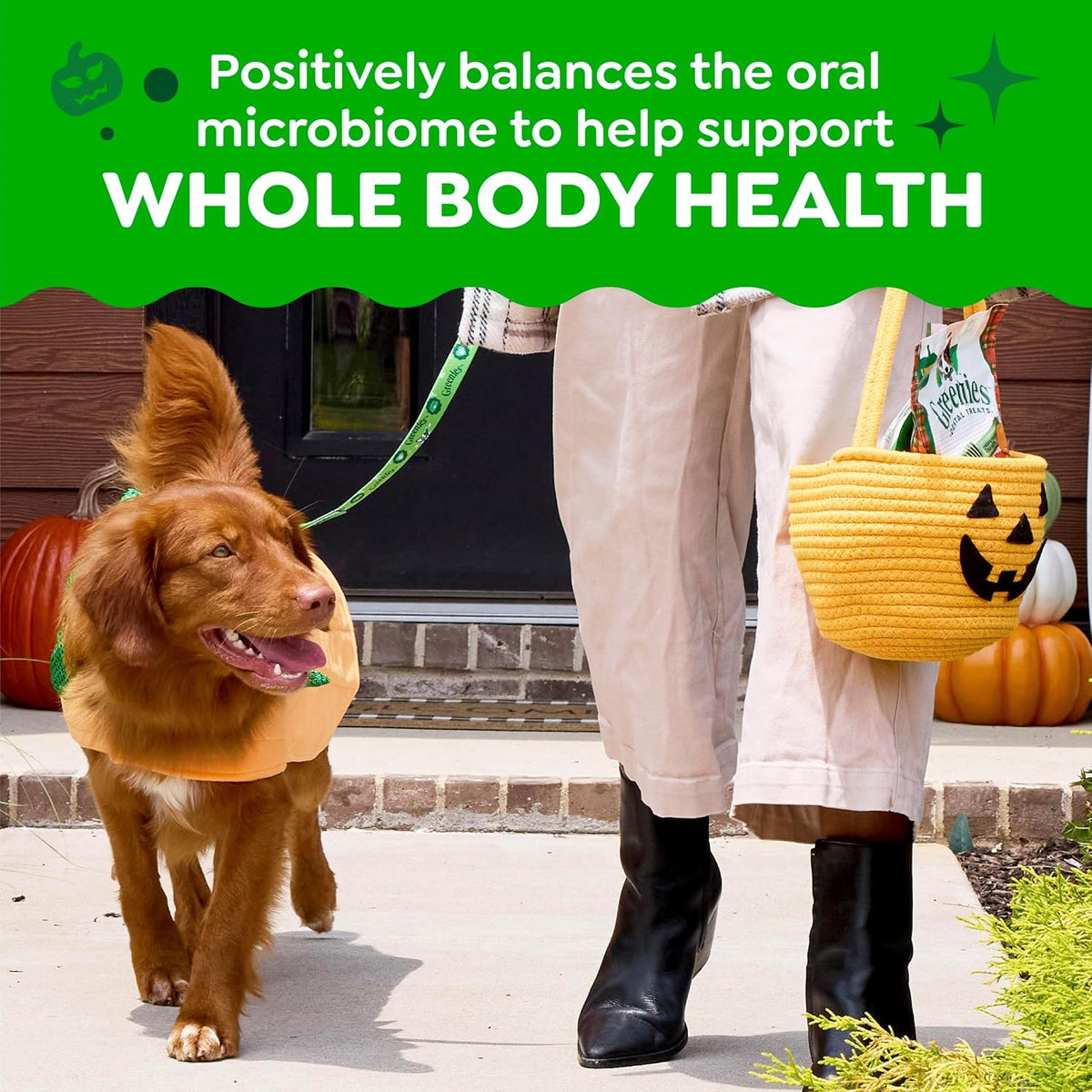 Regular Natural Dental Dog Treats, Pumpkin Spice Flavor, 12 Count