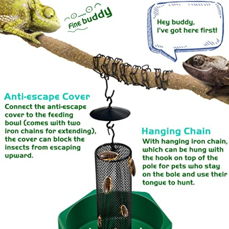 Professional Reptile Feeding Bowl with Hanging Chain & Worm Organizer Column - Heavy-Duty -Escape Bearded Dragon/Iguana/Gecko/Lizard/Toad/Frog Dish, Sturdy Base & Feeding Tongs/Luminous Tweezers Included ( Cage Compatible)