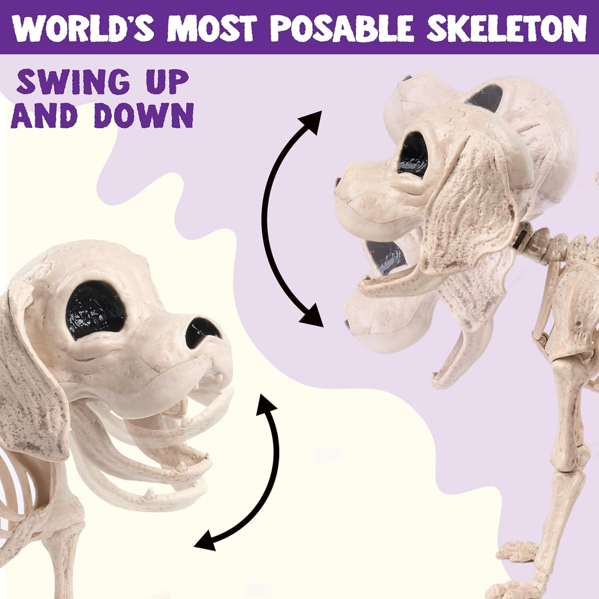 Posable Halloween Dog Skeleton Full Body Posable Joints Realistic Skeleton Puppy with Movable Joints for Halloween Decoration, Graveyard Party Decor (9.8” X 4.7” X 12.6”)