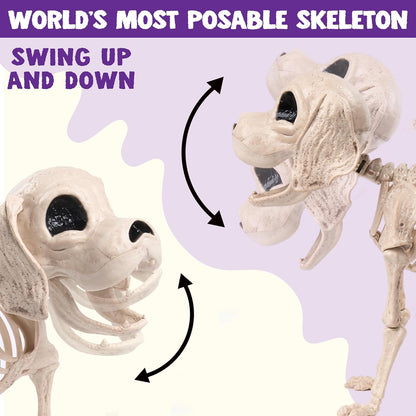 Posable Halloween Dog Skeleton Full Body Posable Joints Realistic Skeleton Puppy with Movable Joints for Halloween Decoration, Graveyard Party Decor (9.8” X 4.7” X 12.6”)