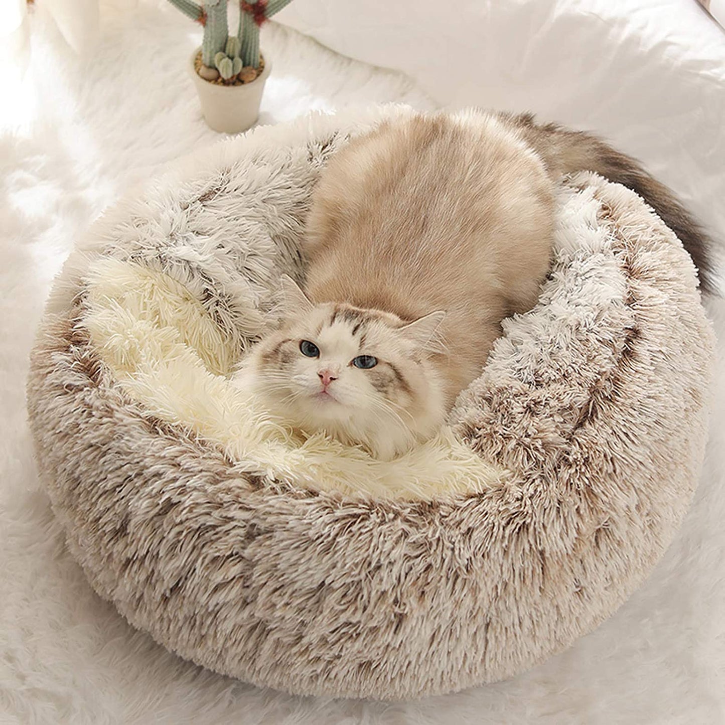 Pet Warm Bed