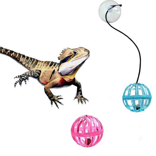 1pc Random Color Bearded Dragon Toy Bell Balls, Reptile Lizard Toy Ball With Suction Cup And Rope For Bearded Dragon, Lizard, Gecko, Cat Small Pet Animals
