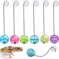 1pc Random Color Bearded Dragon Toy Bell Balls, Reptile Lizard Toy Ball With Suction Cup And Rope For Bearded Dragon, Lizard, Gecko, Cat Small Pet Animals
