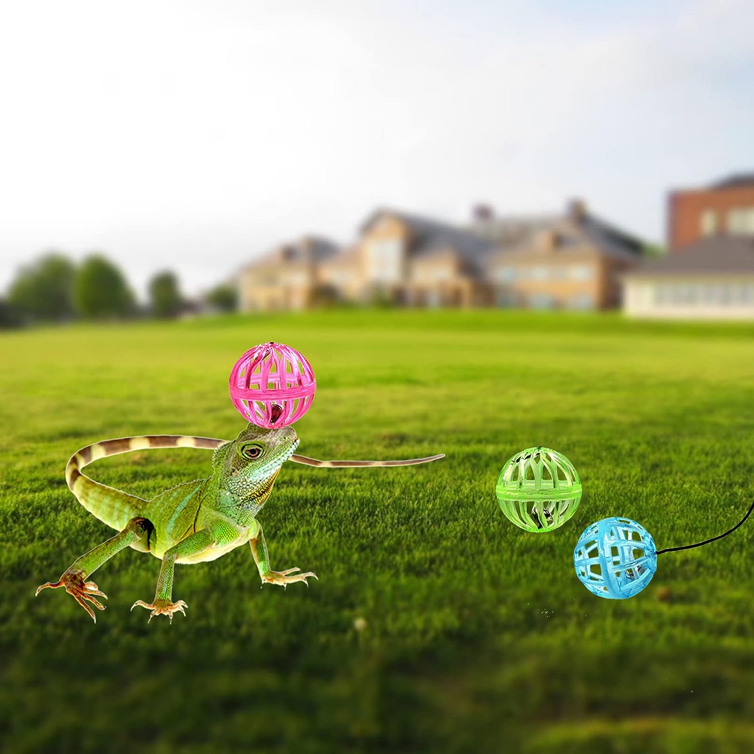 1pc Random Color Bearded Dragon Toy Bell Balls, Reptile Lizard Toy Ball With Suction Cup And Rope For Bearded Dragon, Lizard, Gecko, Cat Small Pet Animals