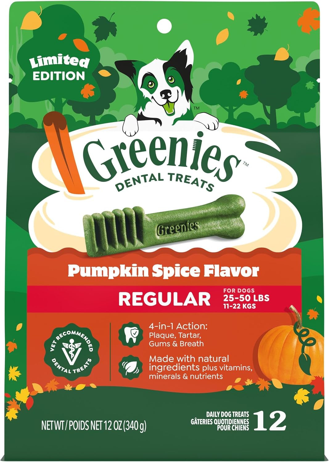 Regular Natural Dental Dog Treats, Pumpkin Spice Flavor, 12 Count