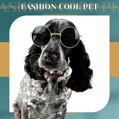 Dog Sunglasses for Small Dog Halloween, Modern Style, Gold, Black