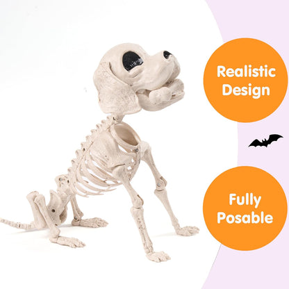 Posable Halloween Dog Skeleton Full Body Posable Joints Realistic Skeleton Puppy with Movable Joints for Halloween Decoration, Graveyard Party Decor (9.8” X 4.7” X 12.6”)