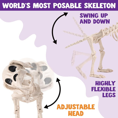 Posable Halloween Dog Skeleton Full Body Posable Joints Realistic Skeleton Puppy with Movable Joints for Halloween Decoration, Graveyard Party Decor (9.8” X 4.7” X 12.6”)