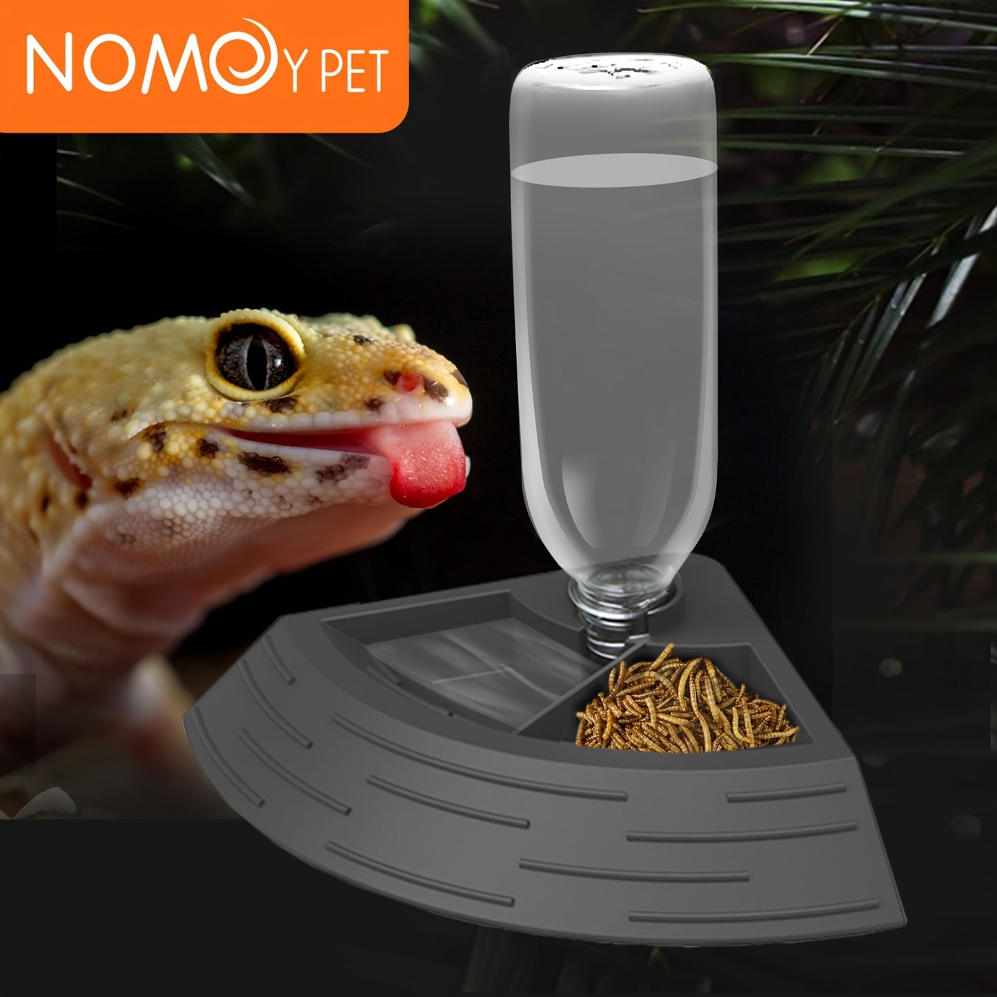 2 In 1 Reptile Water Dish & Food Dish With Automatic Water Bottle, Bearded Dragon Plastic Food Feeder Dish Terrarium Feeder Bowls For Leopard Gecko, Lizard, Frog, Snake & Chameleon