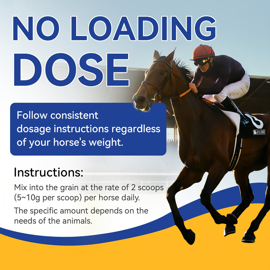 Horse Weight Accelerator, Equine Supplements - Immune And Physical Performance Support Supplements For Horses