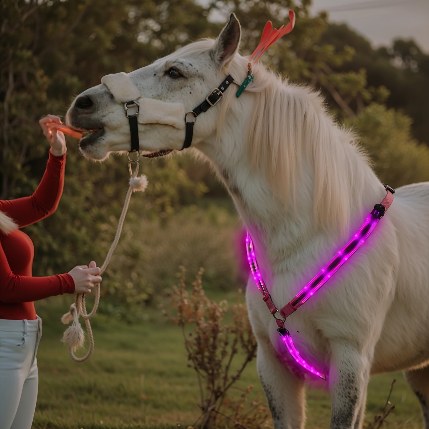 [Equestrian Safety LED Strap] 1 LED Luminous Adjustable Horse Chest Strap | Equestrian Safety Equipment, Sports Supplies, Pink, Yellow