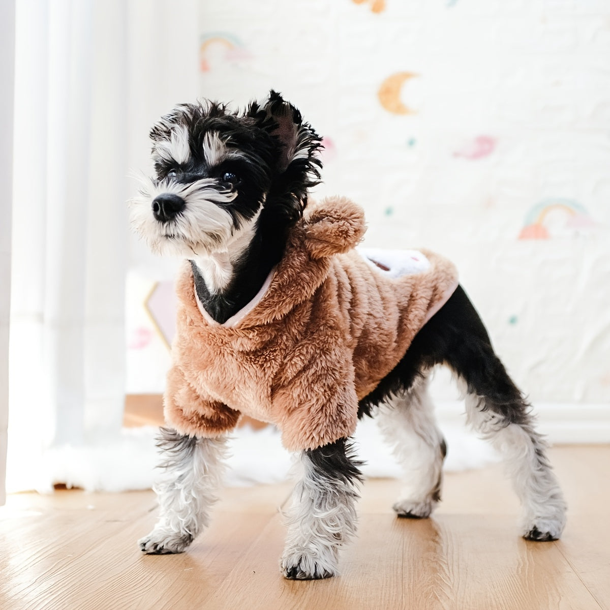 Dog & Cat Pet Costumes