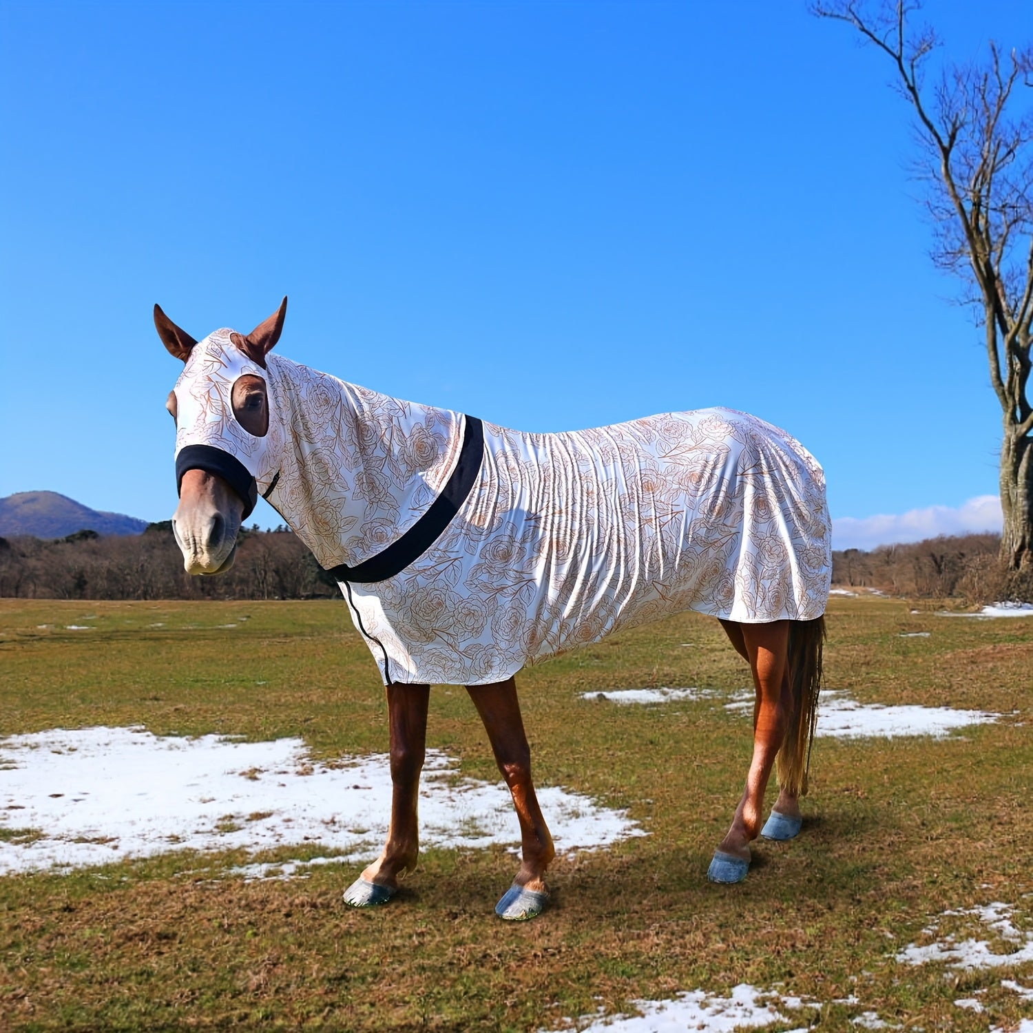 1pc EquiStar Horse Blanket with Neck Cover - Full Body Elastic Thin Polyester Fiber Horse Sheet, All Breed Sizes, Zippered Soft Comfort Protection from Mosquitoes and Flies