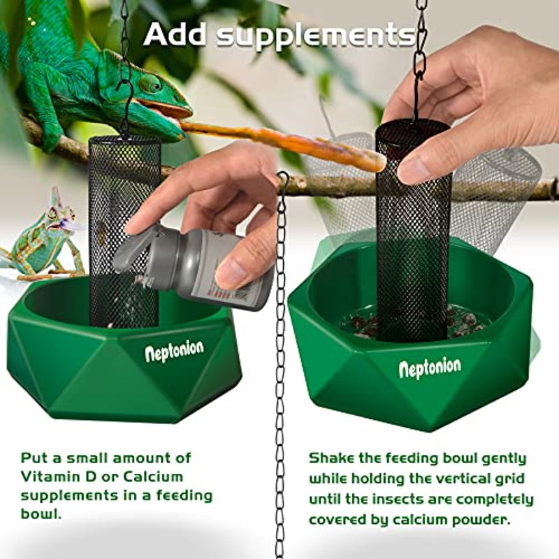 Professional Reptile Feeding Bowl with Hanging Chain & Worm Organizer Column - Heavy-Duty -Escape Bearded Dragon/Iguana/Gecko/Lizard/Toad/Frog Dish, Sturdy Base & Feeding Tongs/Luminous Tweezers Included ( Cage Compatible)