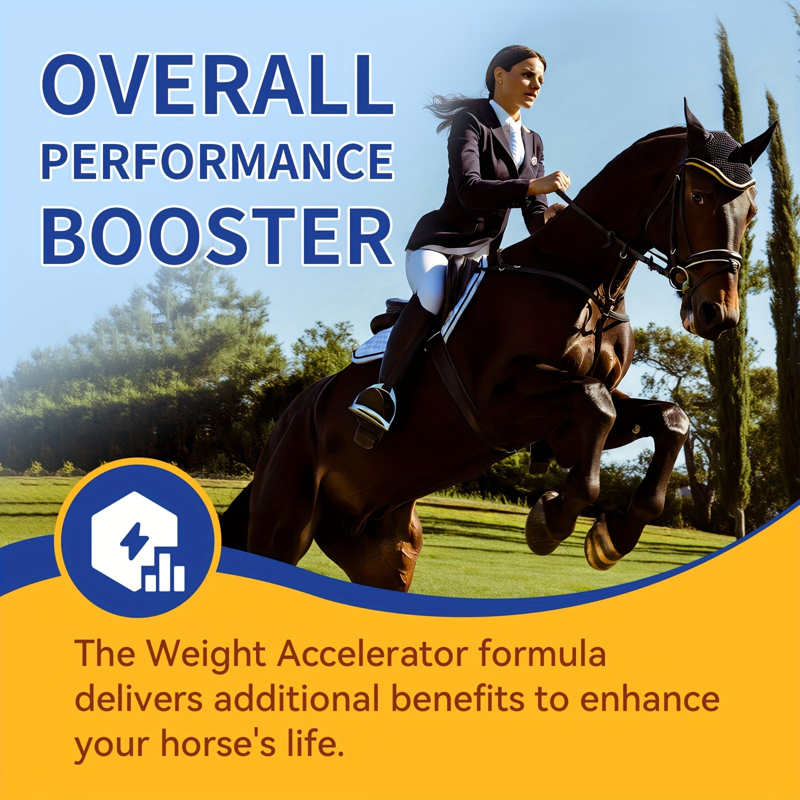 Horse Weight Accelerator, Equine Supplements - Immune And Physical Performance Support Supplements For Horses