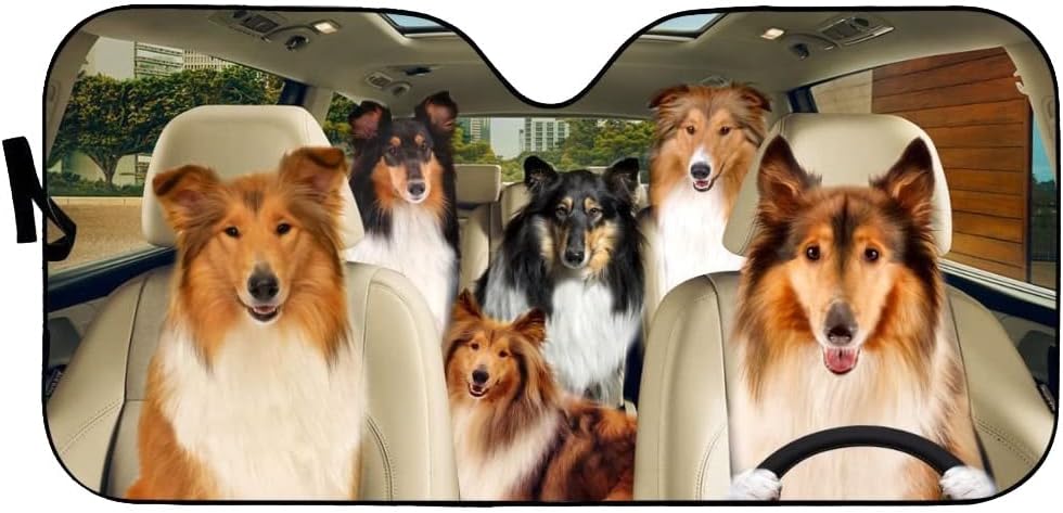 Windshield Sun Shade Rough Collie Car Sunscreen Shade Reflective Sun Keep Car Cool for Most Sedans SUV Truck Automotive 55x30in