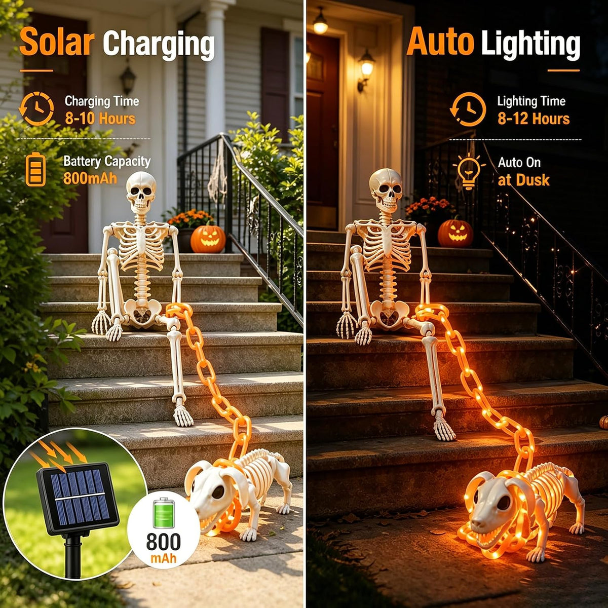 3-Foot Skeleton and Dog Skeleton with Illuminated Chain, Outdoor Halloween Decor