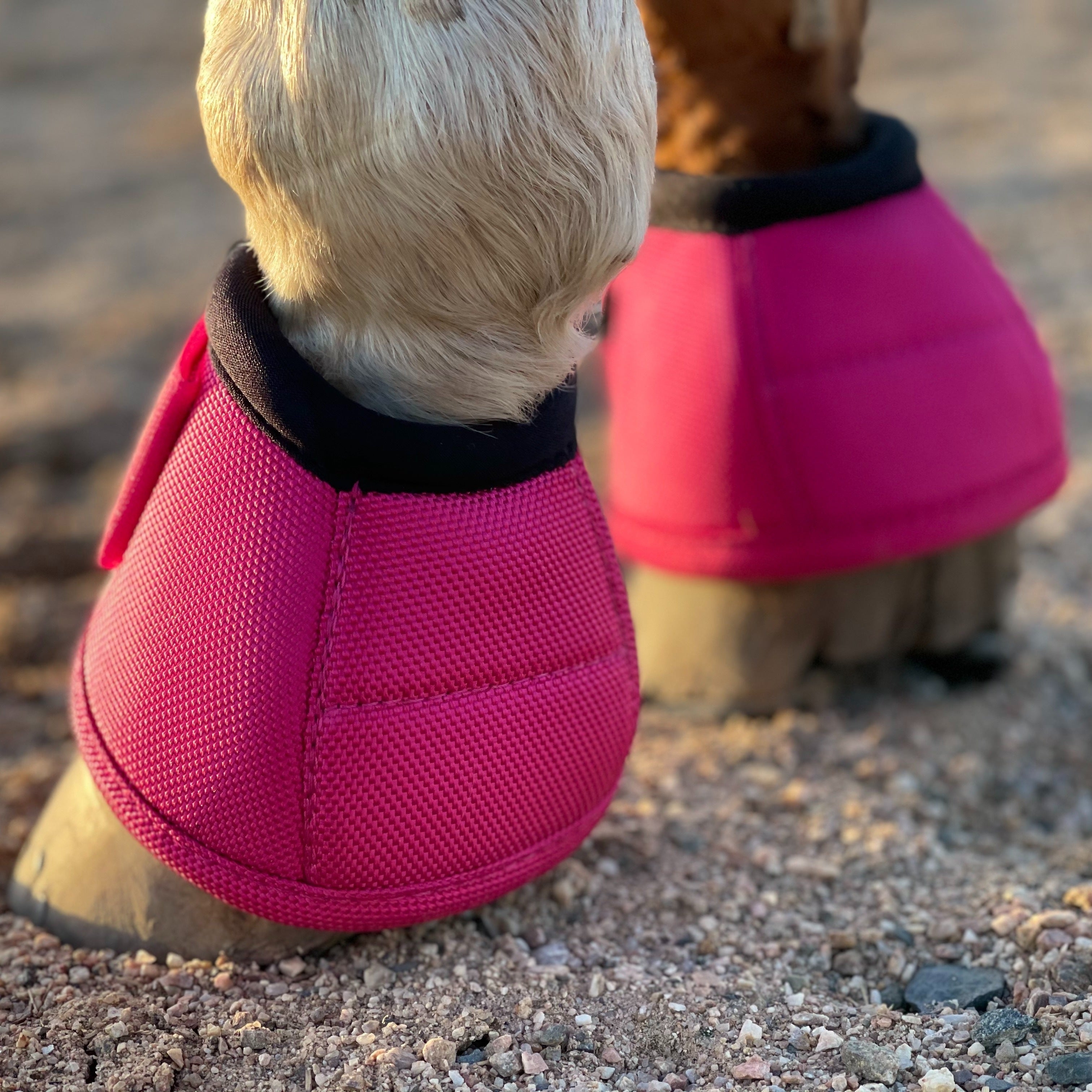 Horse Bell Boots, No Turn Horse Bell Boots