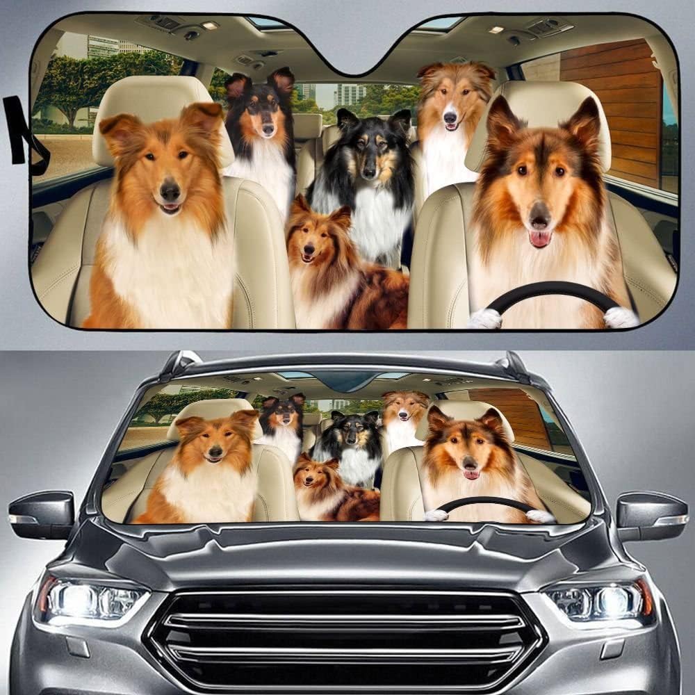 Windshield Sun Shade Rough Collie Car Sunscreen Shade Reflective Sun Keep Car Cool for Most Sedans SUV Truck Automotive 55x30in