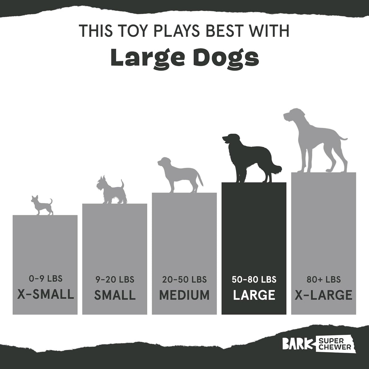 Bear Hugger Super Chewer - 2-in-1 - Toy for Large Dogs