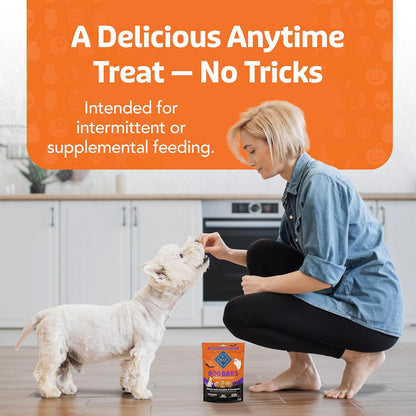 Boo Bars Pumpkin & Cinnamon Dog Biscuits, 11 oz
