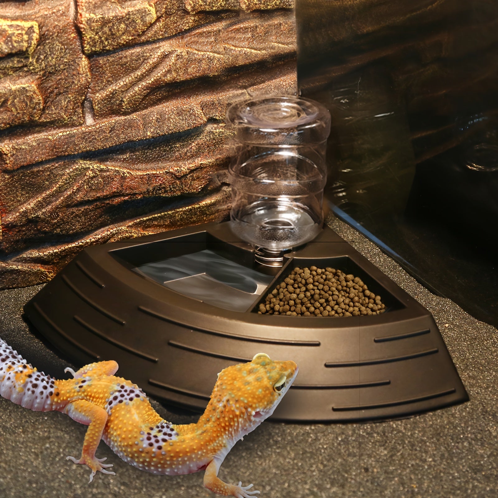 2 In 1 Reptile Water Dish & Food Dish With Automatic Water Bottle, Bearded Dragon Plastic Food Feeder Dish Terrarium Feeder Bowls For Leopard Gecko, Lizard, Frog, Snake & Chameleon