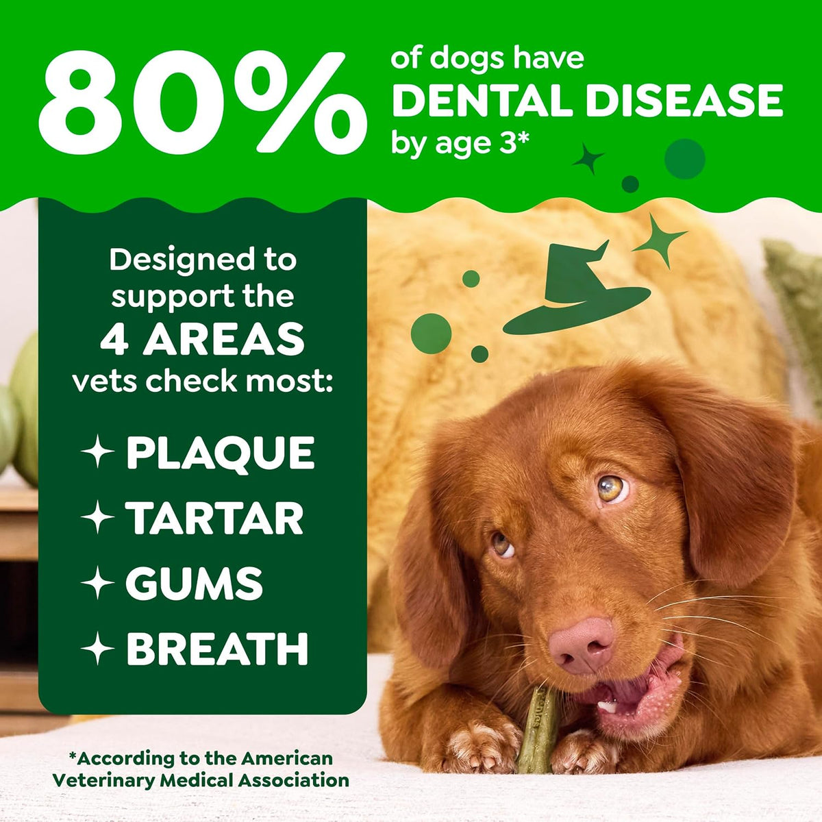 Regular Natural Dental Dog Treats, Pumpkin Spice Flavor, 12 Count