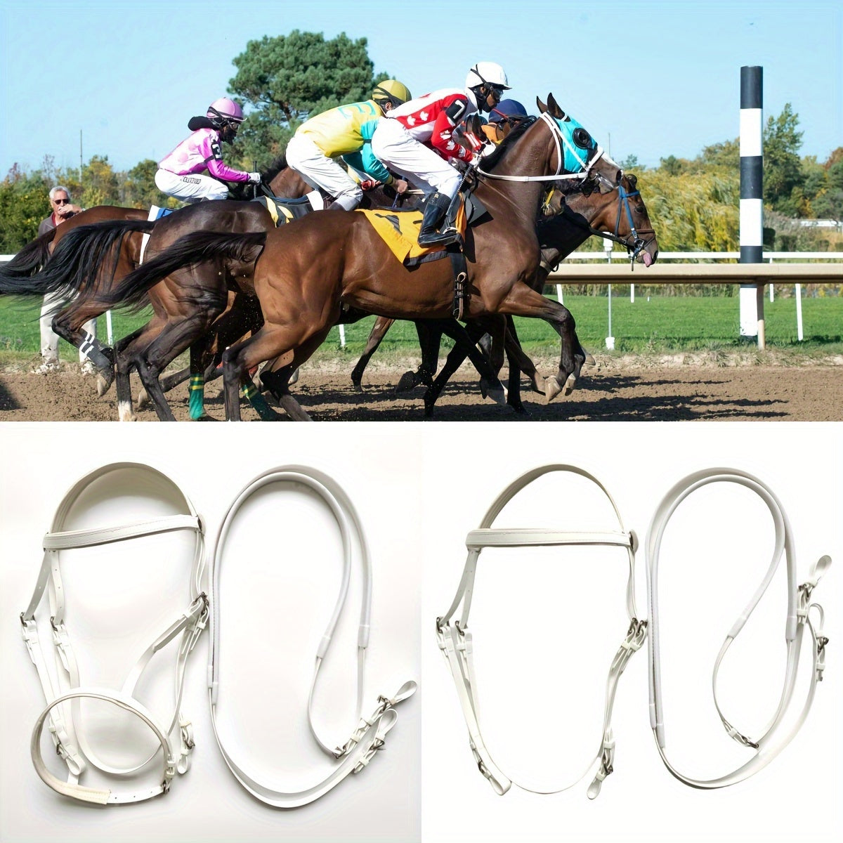 Durable TPU Equestrian Gear Set - Vibrant Colors, Sturdy Halter & Reins with Detachable Nose Cuffs for Horse Lovers