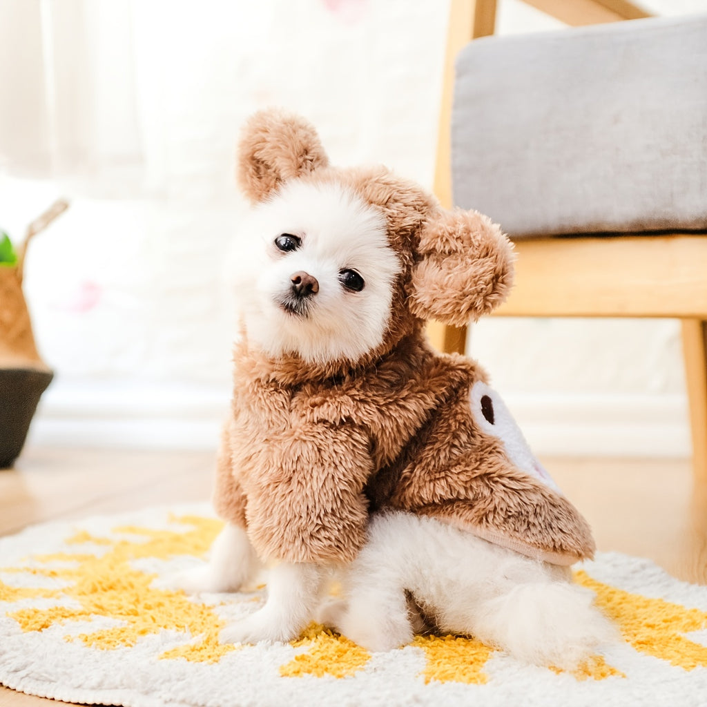 Dog & Cat Pet Costumes