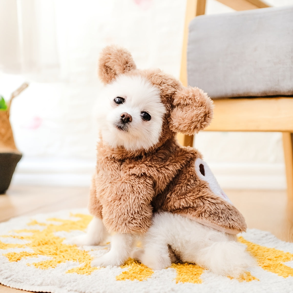Dog & Cat Pet Costumes