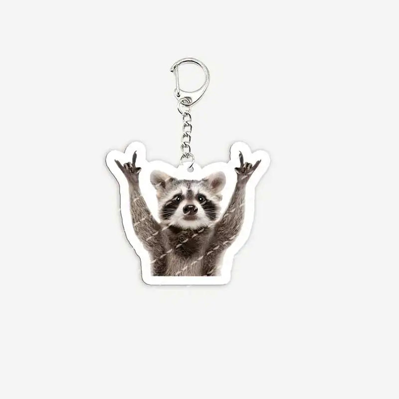 Cute Raccoon Memes Keychains Acrylic Funny Memes Raccoon Quotes Keyring for Accessories Bag Key Chain Ring Fans Friends Gifts