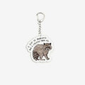 Cute Raccoon Memes Keychains Acrylic Funny Memes Raccoon Quotes Keyring for Accessories Bag Key Chain Ring Fans Friends Gifts