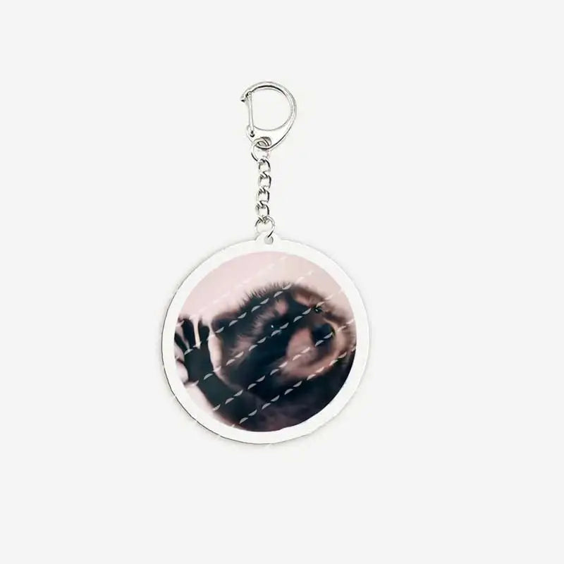 Cute Raccoon Memes Keychains Acrylic Funny Memes Raccoon Quotes Keyring for Accessories Bag Key Chain Ring Fans Friends Gifts