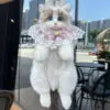 Ragdoll Cat Backpack