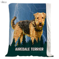 Blanket For Dog Owner
