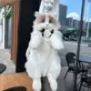 Ragdoll Cat Backpack