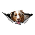 Australian Shepherd Car Sticker