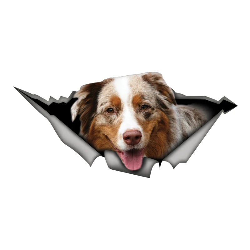 Australian Shepherd Car Sticker
