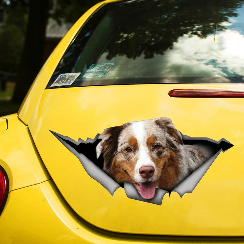 Australian Shepherd Car Sticker
