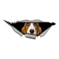 Basset Hound Car Sticker