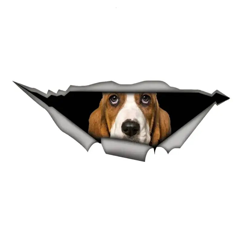 Basset Hound Car Sticker