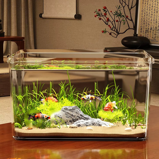 Turtle Household Fish Tank