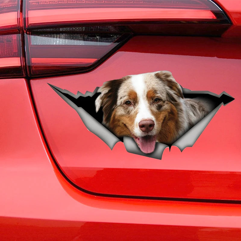 Australian Shepherd Car Sticker